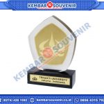 Piala Bahan Akrilik Kabupaten Ngawi